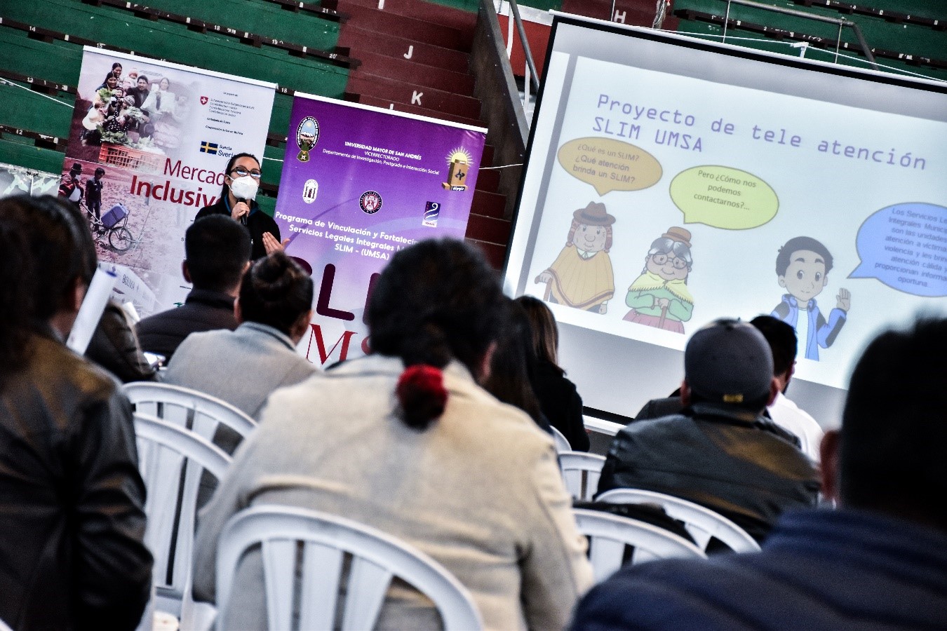 Ponencias sobre la situación y planificación de los SLIM — 2020