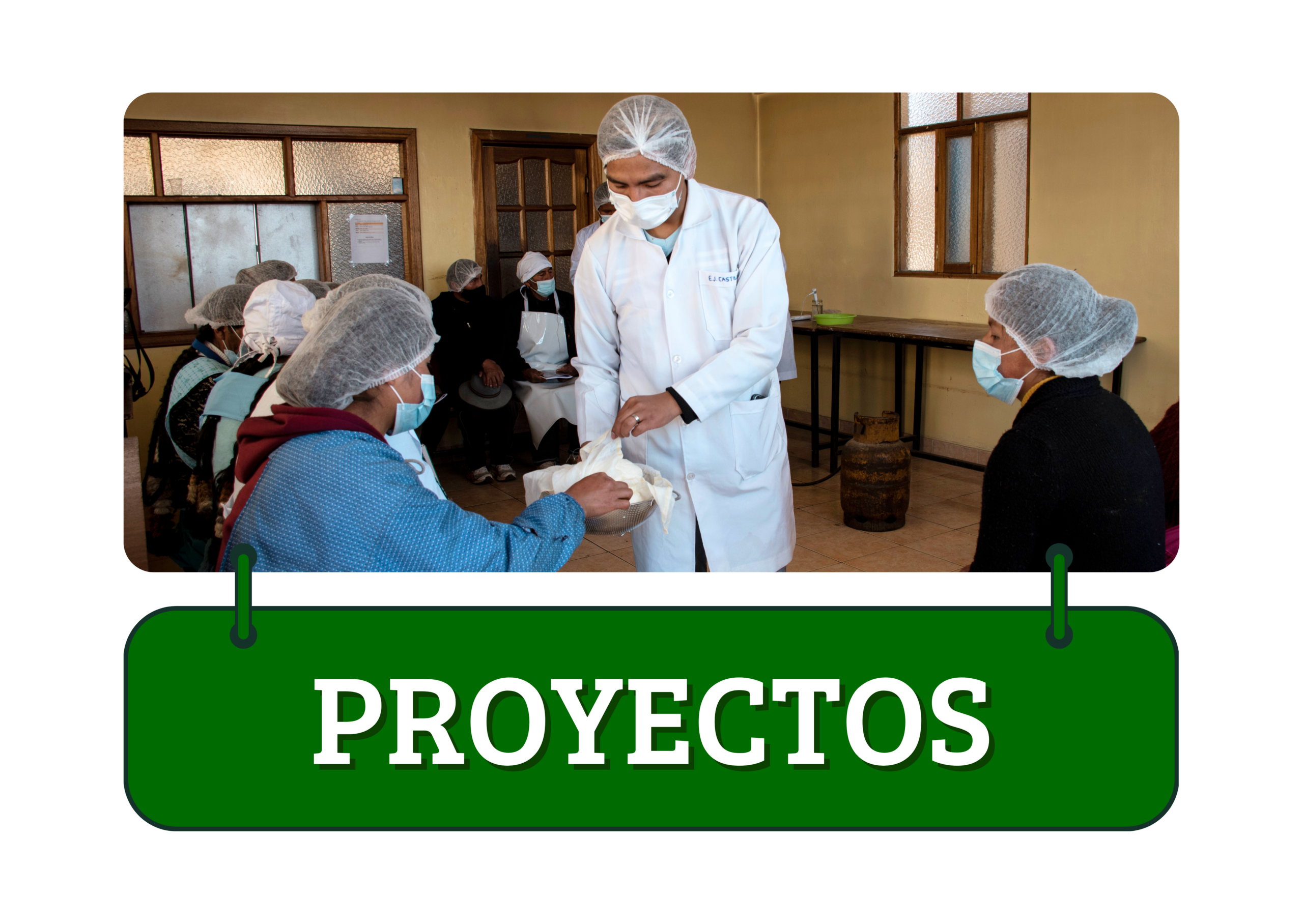 Proyectos