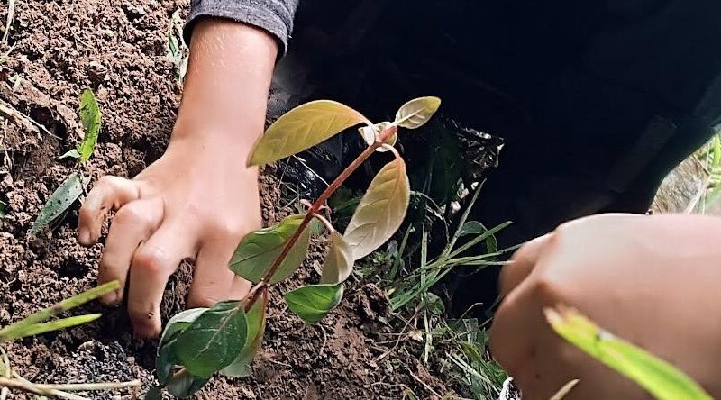 LA UMSA PRESENTE EN LA FERIA “BUENAS IDEAS 2025” DEL SISTEMA DE LA UNIVERSIDAD BOLIVIANA