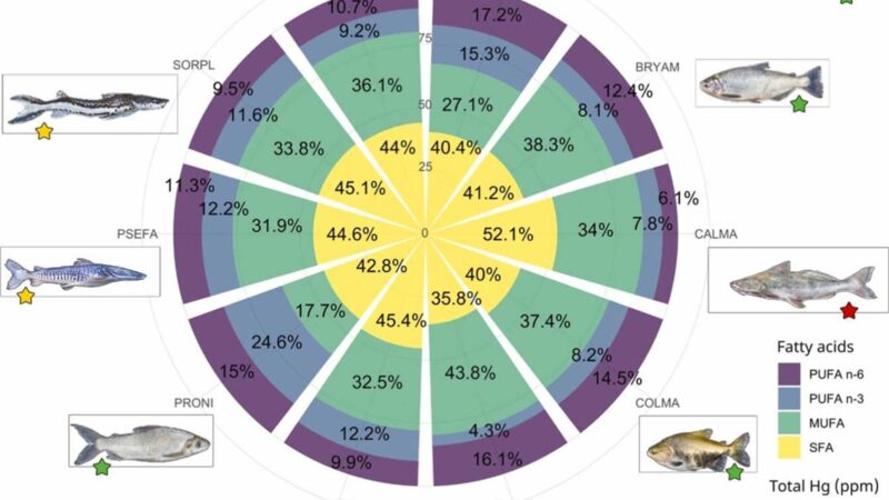 ESTUDIO SOBRE EL PESCADO DEL RÍO BENI, SU APORTE NUTRICIONAL Y LOS DESAFÍOS ASOCIADOS A LA PRESENCIA DE MERCURIO